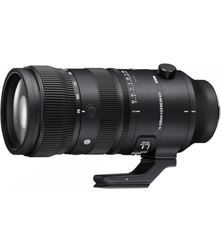 Amazon.co.jp: シグマ(Sigma) レンズ 70-200mm F2.8 DG OS HSM Canon 