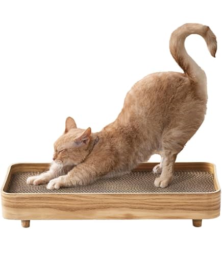 Amazon | pet-189 猫用 爪とぎベッド シェーカーボックス型 おしゃれ