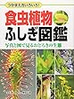 食虫植物ふしぎ図鑑