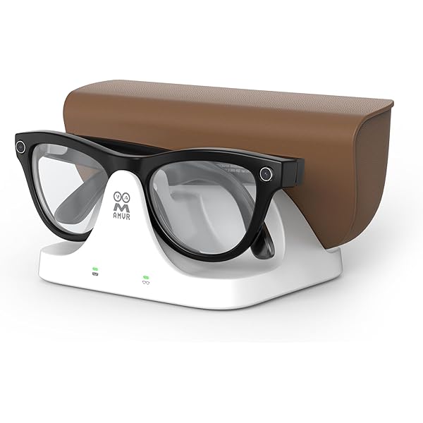 Amazon.co.jp: TUZTUALA Ray-Ban Meta用ハードグラスケース – Meta