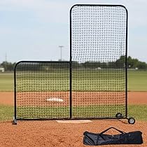 野球　防球ネット 8141zxWZINL._AC_UF350,