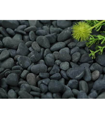 Amazon | 彩光石 那智黒風 黒玉砂利 10kg(小分け) 15分 | 砂利