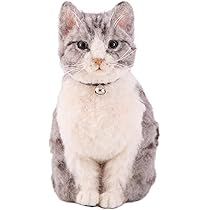 61y3IjftBoL._AC_UL210_SR210,