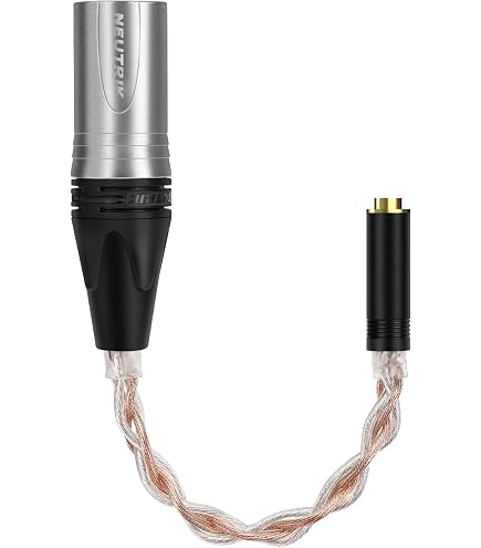 HIFIMAN EF600 ヘッドフォンアンプ/DAC内蔵アンプ
