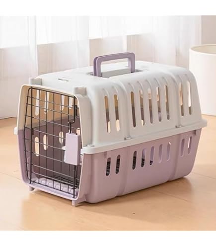 Amazon | アイリスオーヤマ トラベルキャリー ライトグレー HC-630