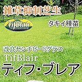 株式会社ハヤシ センチピードグラス ティフ・ブレア 芝生 (10平米)