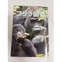 gorilla様 PUBLIC GENERAL143cm GAIN [Great Ape Information Network]