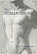 The Human Figure