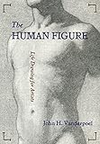 The Human Figure