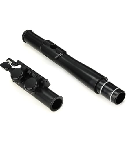 Amazon.co.jp: NUVO ヌーボ プラスチック製管楽器 フルート C調 jFlute