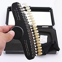 人工歯　シェードガイド ビタ シェードガイド | 白水貿易株式会社