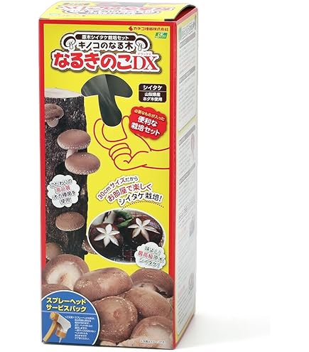 Amazon | しいたけ 種駒すその620号（棒型） 500個入り｜従来品種より