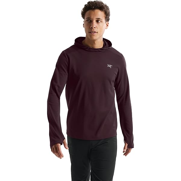 と*ま様 ARC'TERYX ⭐︎メンズM⭐︎アークテリクス⭐︎Rho LT Z ロー LT ジップネック メンズ – アークテリクス公式オンラインストア