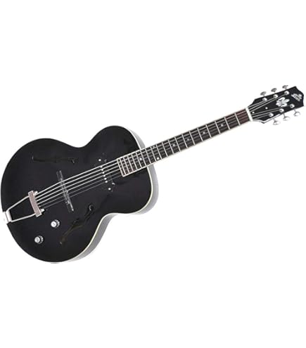 LOAR LH-280-C Vintage Sunburst フルアコ Amazon | LOAR (ロア) フルアコースティックギター LH-280-C