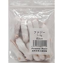 Amazon | 【クール便発送】国産冷凍ひよこ(雛) 30羽入り 猛禽類