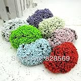 �j�������x���N�̃}�C�X�^�[�W���K�[*�y��