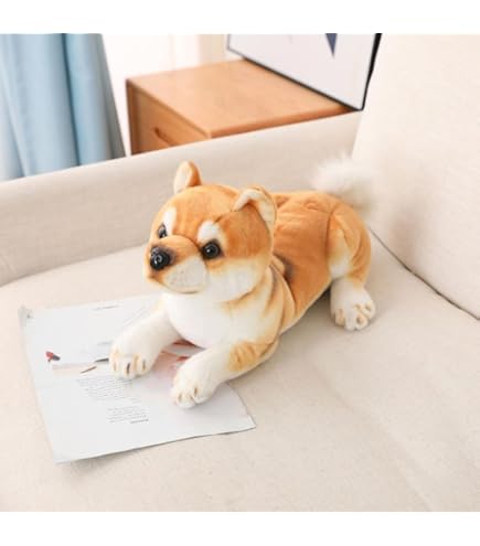 Amazon.co.jp: スピッツ 伏せ KOSEN(ケーセン社) 64cm Japanese