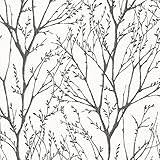 Brewster 2532-20424 Delamere Tree Branches Wallpaper, Black by Brewster