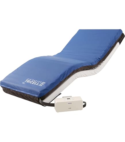 Amazon.co.jp: ケープ(CAPE) スモールチェンジ ラグーナ CR-703(900