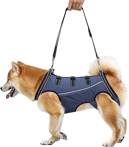 With(ウィズ) 歩行補助ハーネス LaLaWalkコーギー Kabuki Amazon | With(ウィズ) 歩行補助ハーネス LaLaWalk 中型犬