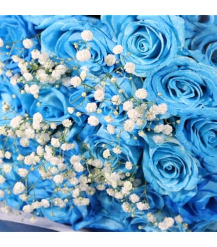 marie claireプレート　『青い薔薇』三枚 ローズブルーのバラと紫陽花 開店祝い 結婚祝い 退職祝い 送別