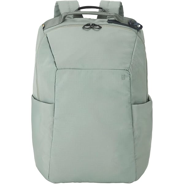 Amazon.co.jp: [ミレスト] リュック ヒュッテ 22L 15インチ 撥水 着脱