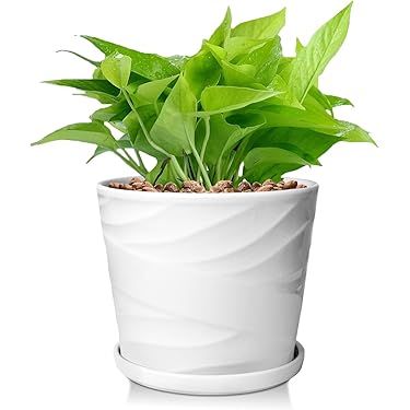 作家鉢 3個セット 各専用鉢皿＋鉢底ネット φ24cm 大型 モダン 特典付き！ 作家鉢 3個セット 各専用鉢皿＋鉢底ネット φ24cm 大型 モダン