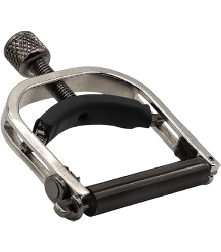 Amazon | ゴールドトーン Cheat-A-Keys D-Tuners (WIDE) 幅2.5インチ