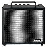 Ibanez アイバニーズ エレキ・ギター用10W 練習用アンプ IBZ10GV2
