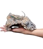 エキゾテラ　グラステラリウム9045 おまけもあります Amazon | GEX EXOTERRA グラステラリウム 9045 PT2613 両開き