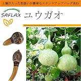 SAFLAX - Garden in the Bag - ユウガオ - 15 個の種。- 取扱いが簡単なスタンドアップバッグに栽培用土壌が入っています - Lagenaria siceraria