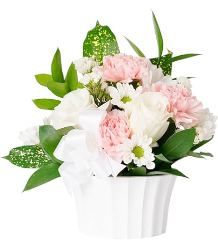 Amazon.co.jp: 入手困難 蓮の花紙 蓮紙 蓮ワーク 8色、計24束 : ホーム