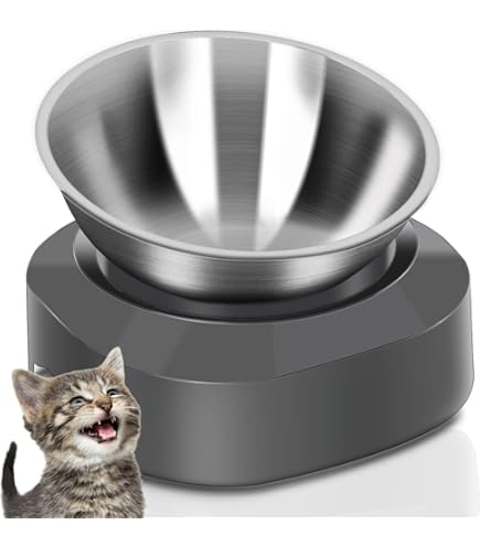 Dog Food Bowl Raised Cat Bowl, Pack Stainless Steel Elevated Cat
