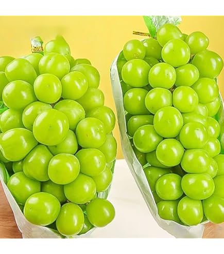 ❣️お得❣️福岡or熊本県産　シャインマスカット　12パック入 Amazon.co.jp: 国産 九州産 ぶどう シャインマスカット 4パック 約