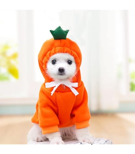 Amazon | 犬猫用コスプレ 鯉のぼり（青）のかぶりもの（帽子） (S：22