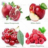 4 kind fruit,bonsai fruit tree seeds,vegetable and fruit seeds Delicious cherry. Pomegranate. Raspbe