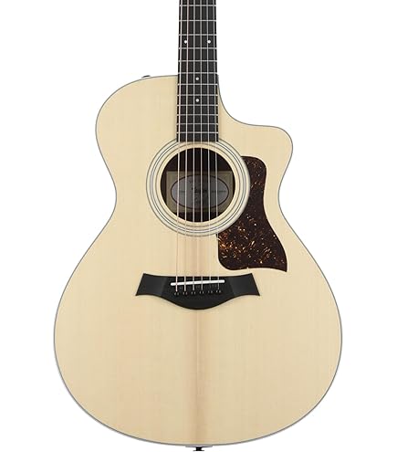 Amazon | Taylor 214ce Rosewood エレアコ テイラー | スチール弦 