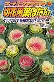 アタリヤ農園 ガーデニング用品 種 スーパーカラフル切花用葉ぼたん