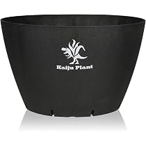 Amazon.co.jp: Kaiju Plant 怪獣ポットEco6.5 スリット鉢 6.5号 麦わら