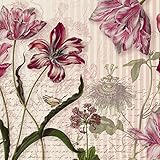 輸入壁紙/Merian/サイズ：368×254cm/8NW-510/Z3K