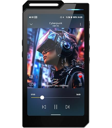 Amazon.co.jp: HIBY HiBy R6Green : 家電＆カメラ