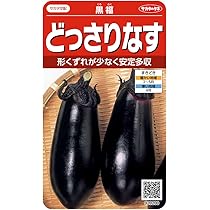 Amazon | サカタのタネ 飛天長ナス | 野菜