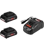 ボッシュ 18v2Ahバッテリーと充電器(GAL 18V-40) セット PRO GAL 18V-40 充電器 | Bosch Professional