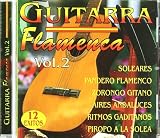 Guitarra Flamenca 2