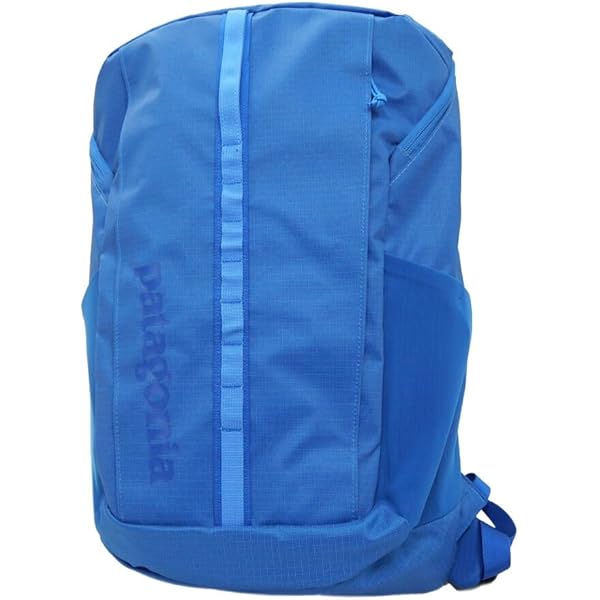 Amazon.co.jp: [Patagonia] (パタゴニア) ブラックホール パック 25L