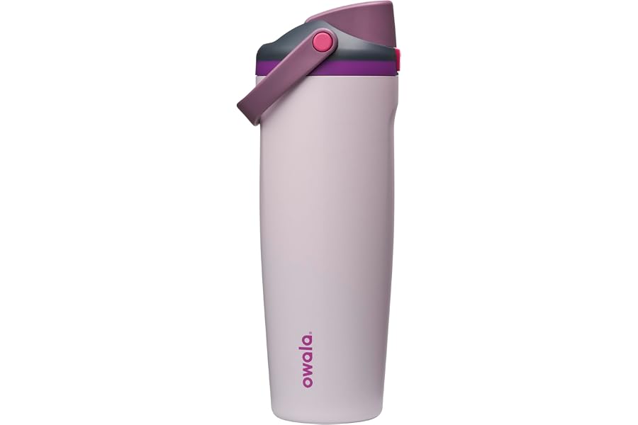 Owala FreeSip Sway Insulated Stainless Steel Water Bottle with Two-Way Spout, Built-In Straw and Bucket Handle - 887ml (30oz)