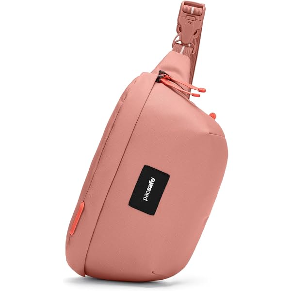 Amazon.co.jp: Pacsafe レディース Citysafe CX 盗難防止バックパック