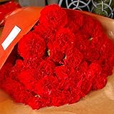 パラボッセ 遅れてごめんね 母の日 花束 カーネーション 50本 bouquet red carnation