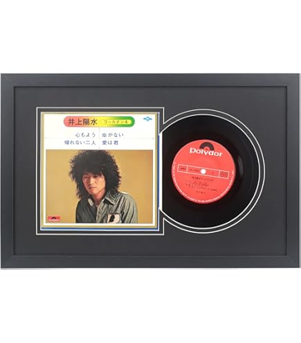 Amazon.co.jp: Picture Disc / 12 