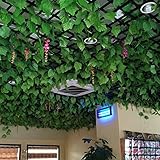 xiaokesong 葉 人工 ぶどう 藤 観葉植物 壁掛 インテリア アンティーク フェイクグリーン 2本入り